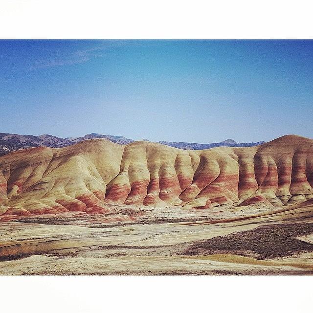Painted Hills Photograph by Megan Lacy