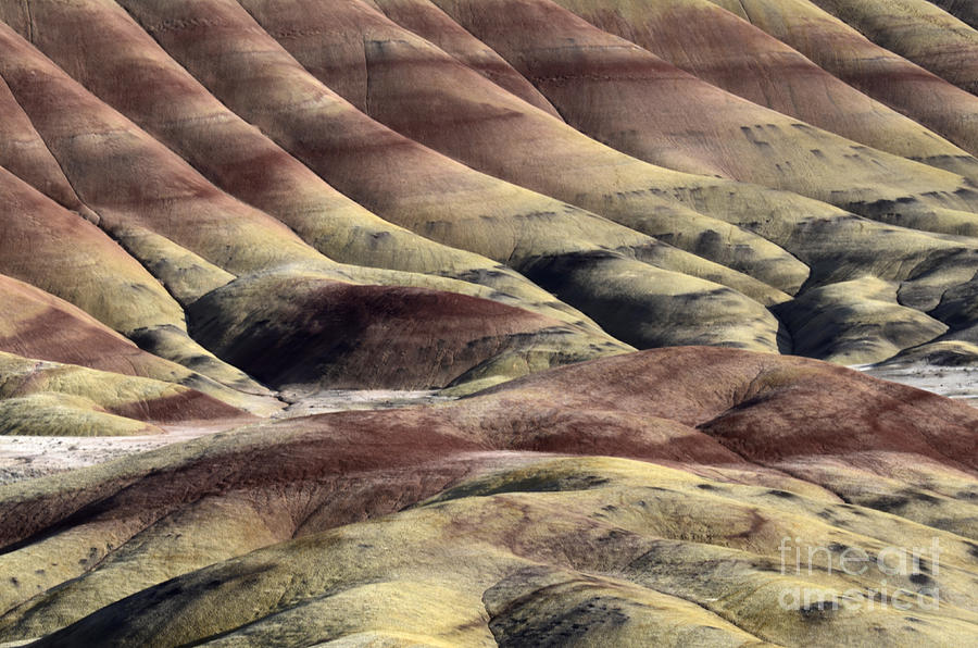 Nature Photograph - Painted Hills Oregon 11 by Bob Christopher
