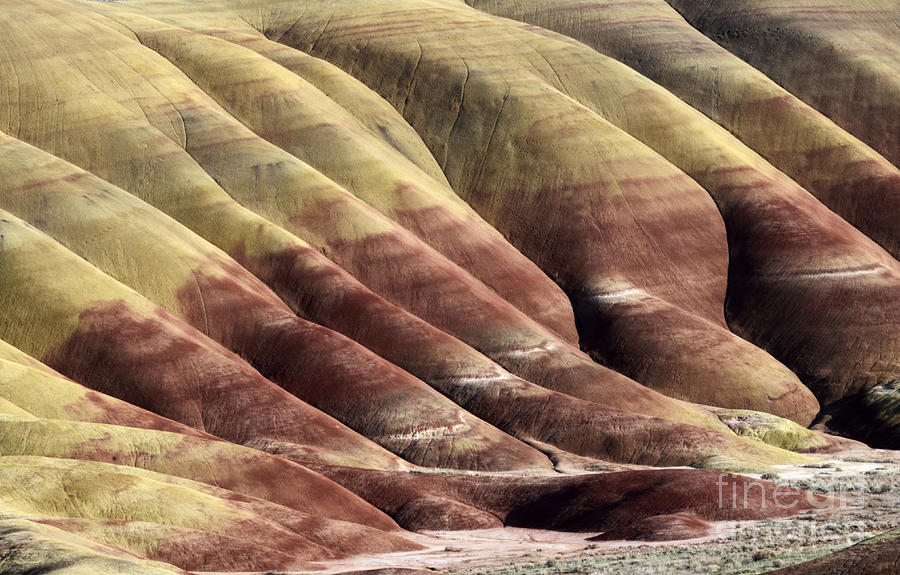 Painted Hills Oregon 12 Photograph by Bob Christopher