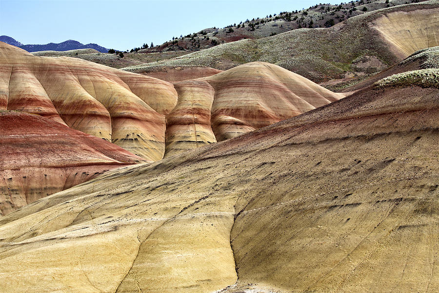 Painted Hills Oregon Photograph by Mark Duffy