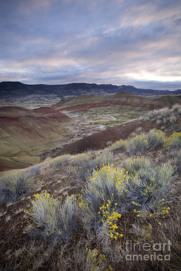 Painted Hills in Oregon Photograph by Sean Bagshaw