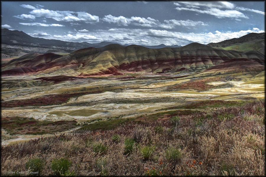 Painted Hills Valley Photograph by Erika Fawcett