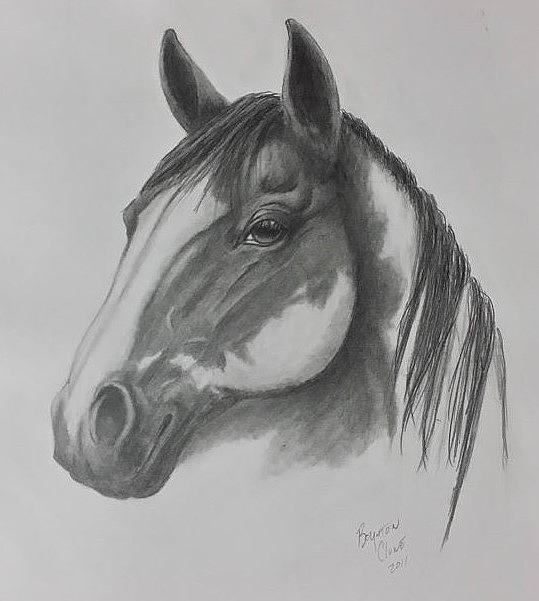 Painted Horse Drawing by Boynton Clune III - Fine Art America