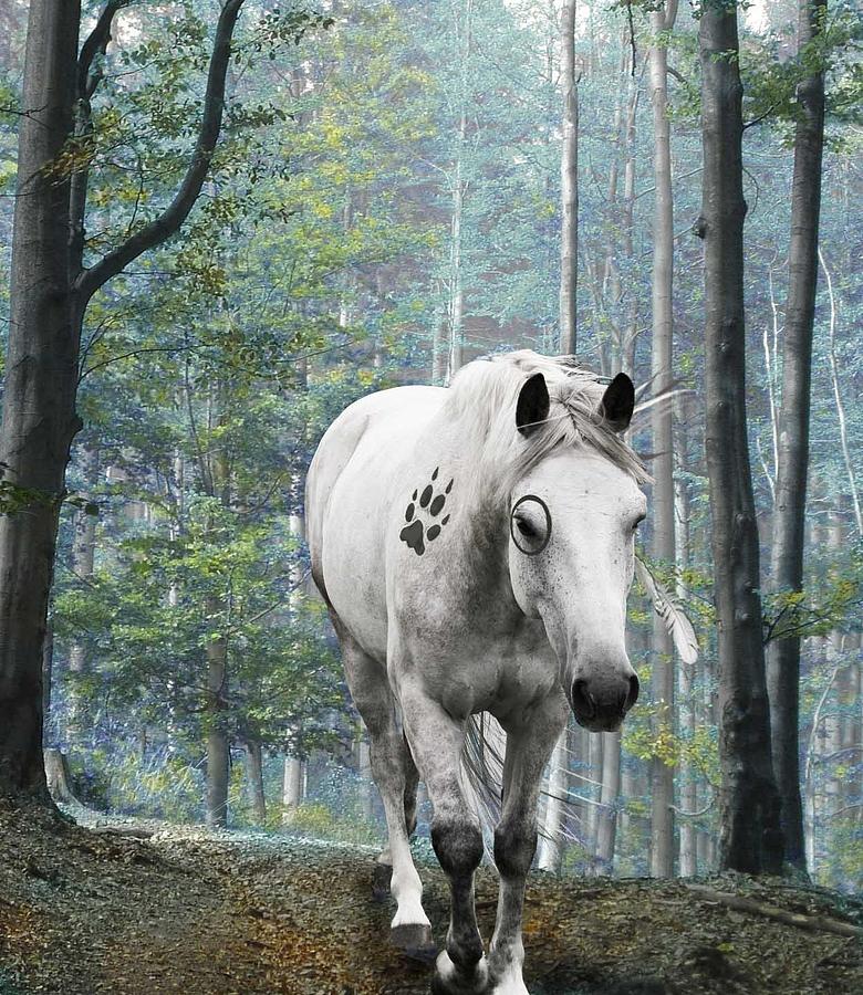 Horse Digital Art - Painted Horse by Diana Shively