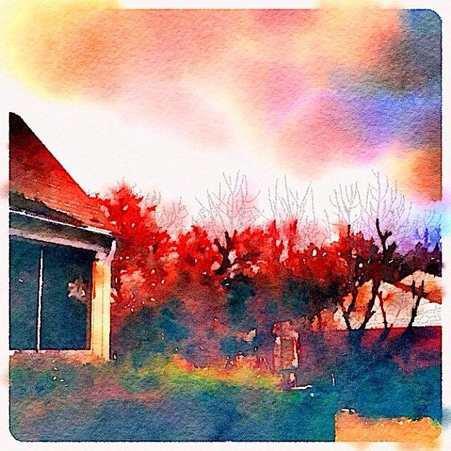 Waterlogue Photograph - Painted In #waterlogue by Libby Walker