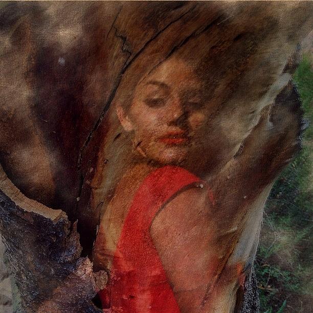 Painterly Photograph - Painted In Wood. #mobileartistry by Marco Prado