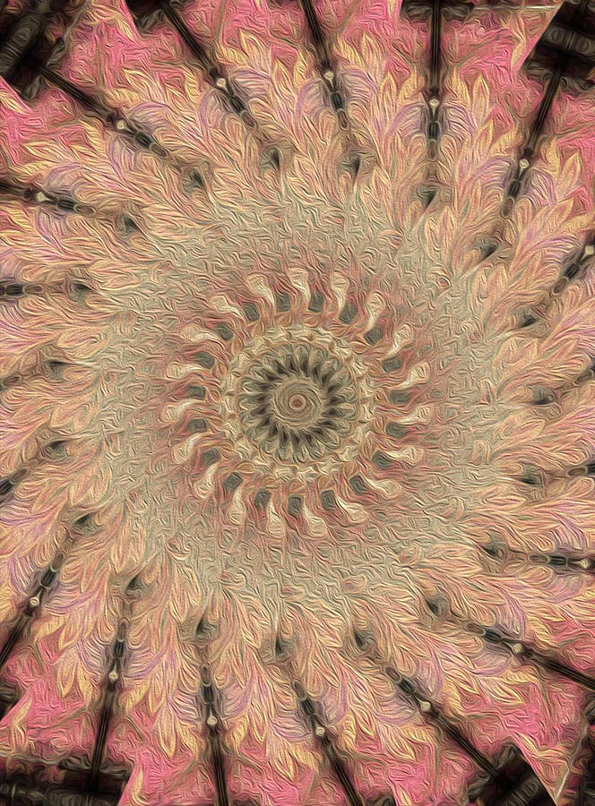 Painted Kaleidoscope 1 Digital Art by Rhonda Barrett