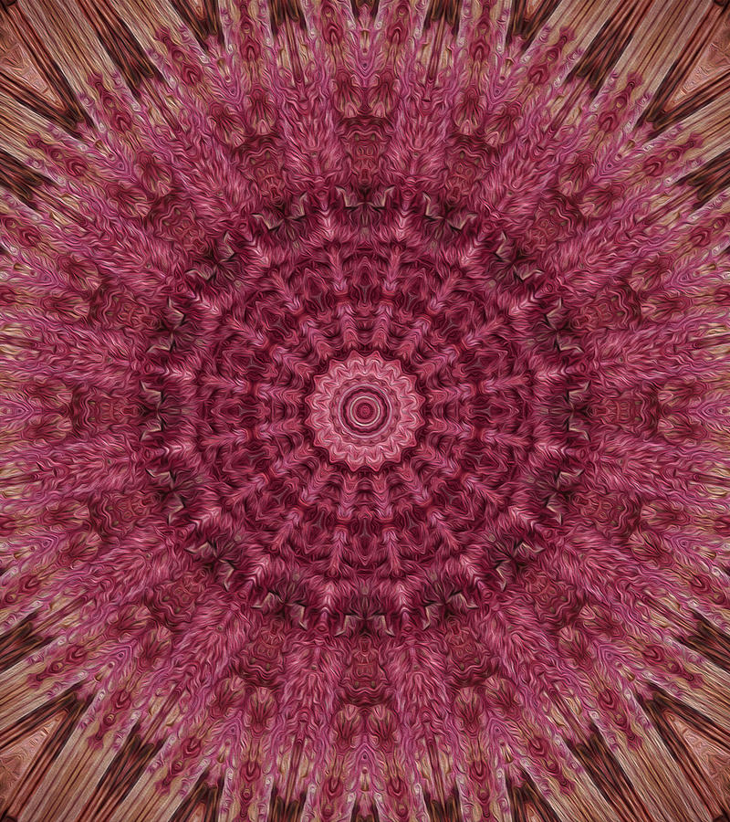 Painted Kaleidoscope 12 Digital Art by Rhonda Barrett