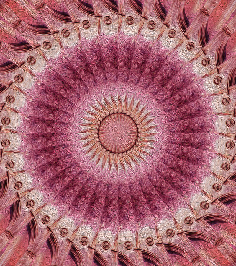 Painted Kaleidoscope 13 Digital Art by Rhonda Barrett