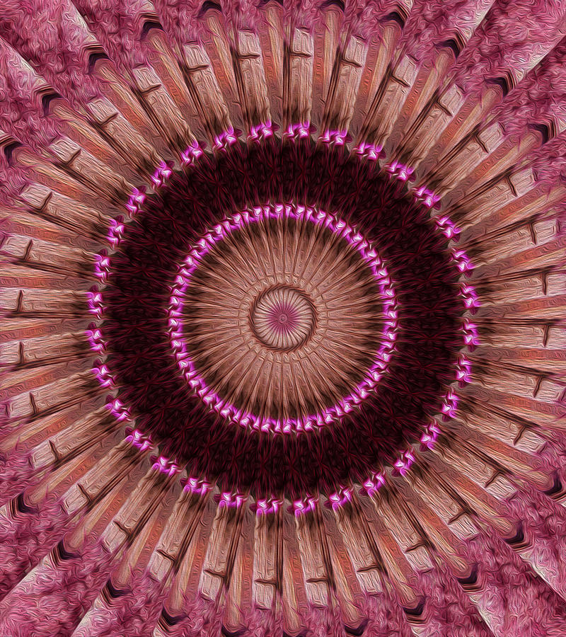 Painted Kaleidoscope 14 Digital Art by Rhonda Barrett