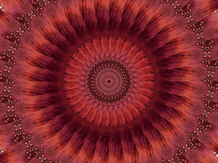 Painted Kaleidoscope 17 Digital Art by Rhonda Barrett