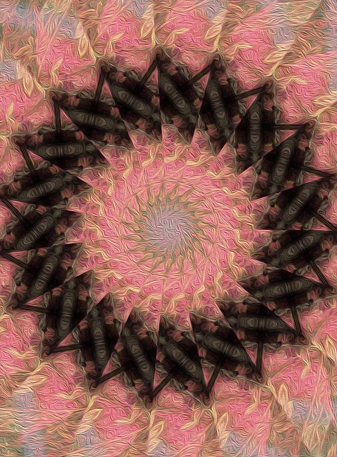 Painted Kaleidoscope 2 Digital Art by Rhonda Barrett