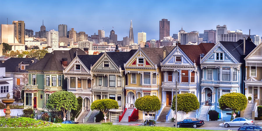 Painted Ladies Photograph by Bill Dodsworth