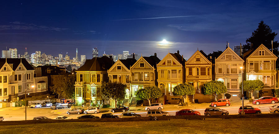 Painted Ladies Photograph by Mike Ronnebeck