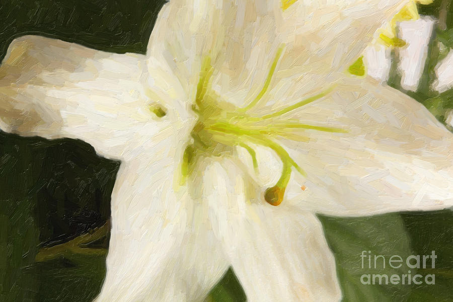 Painted Lilly Flower 8032.02 Digital Art by M K Miller
