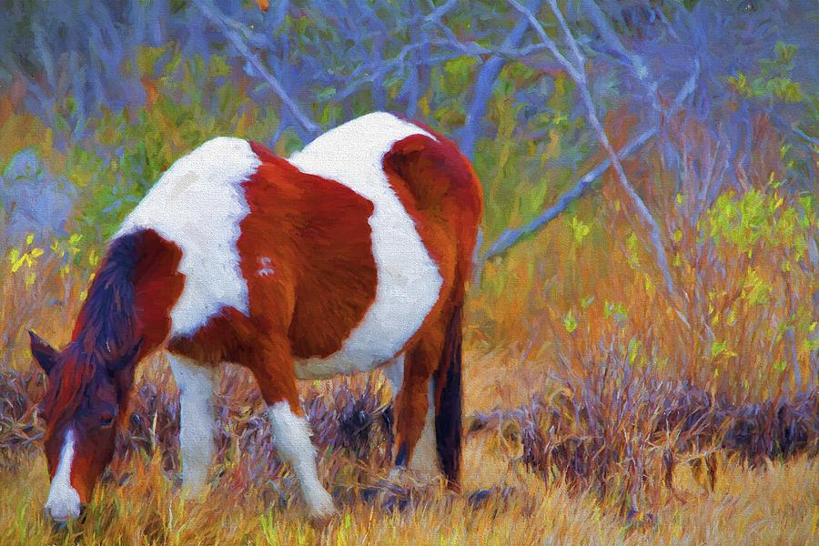 Painted Marsh Mare Photograph by Alice Gipson