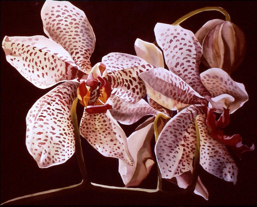 Painted Orchids Painting by Alfred Ng