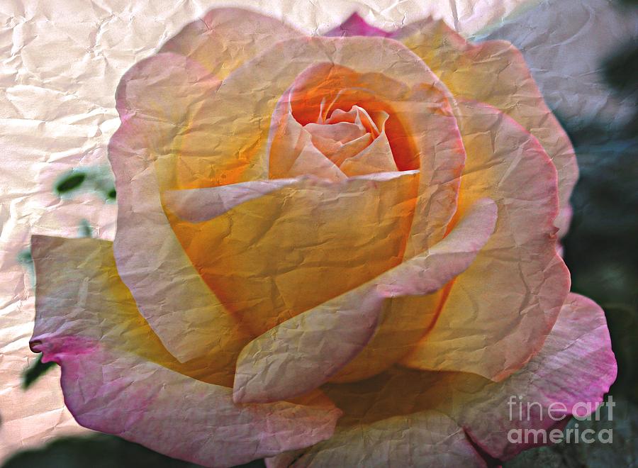 Vintage Photograph - Painted Paper Rose by Judy Palkimas