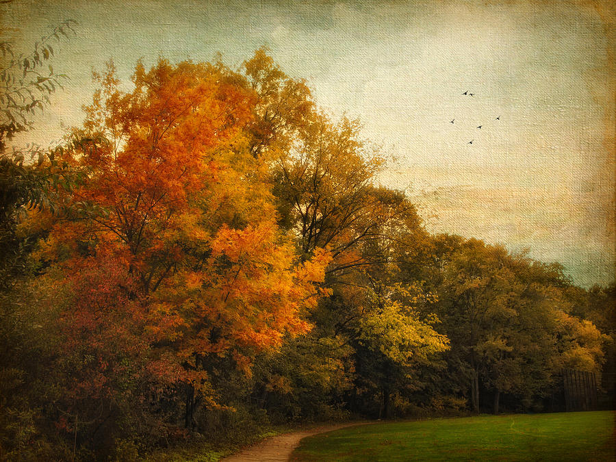 Nature Photograph - Painted Path by Jessica Jenney