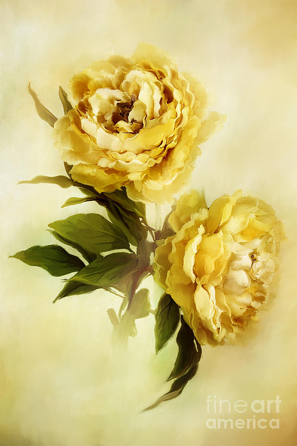 Painted Peonies Photograph by Stephanie Frey