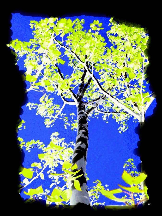 Spring Digital Art - Painted Poplars by Will Borden