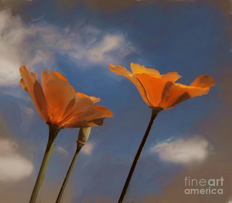 Painted Poppies Photograph by Tom Griffithe