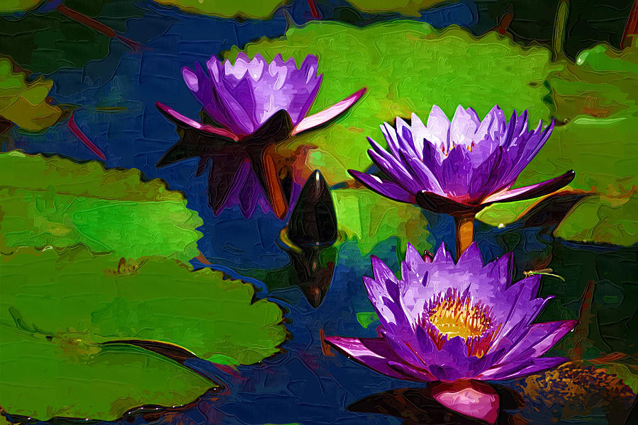 Lily Photograph - Painted Purple Water Lilies by Kathy Clark