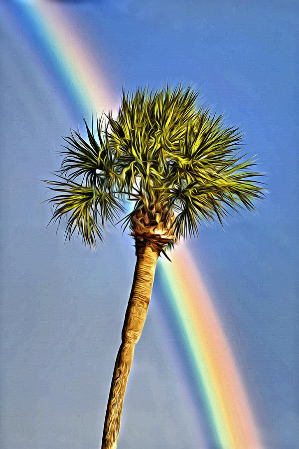 palm pals rainbow