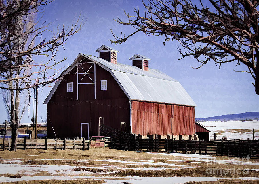 Architecture Painting - Painted Red Barn by Janice Pariza