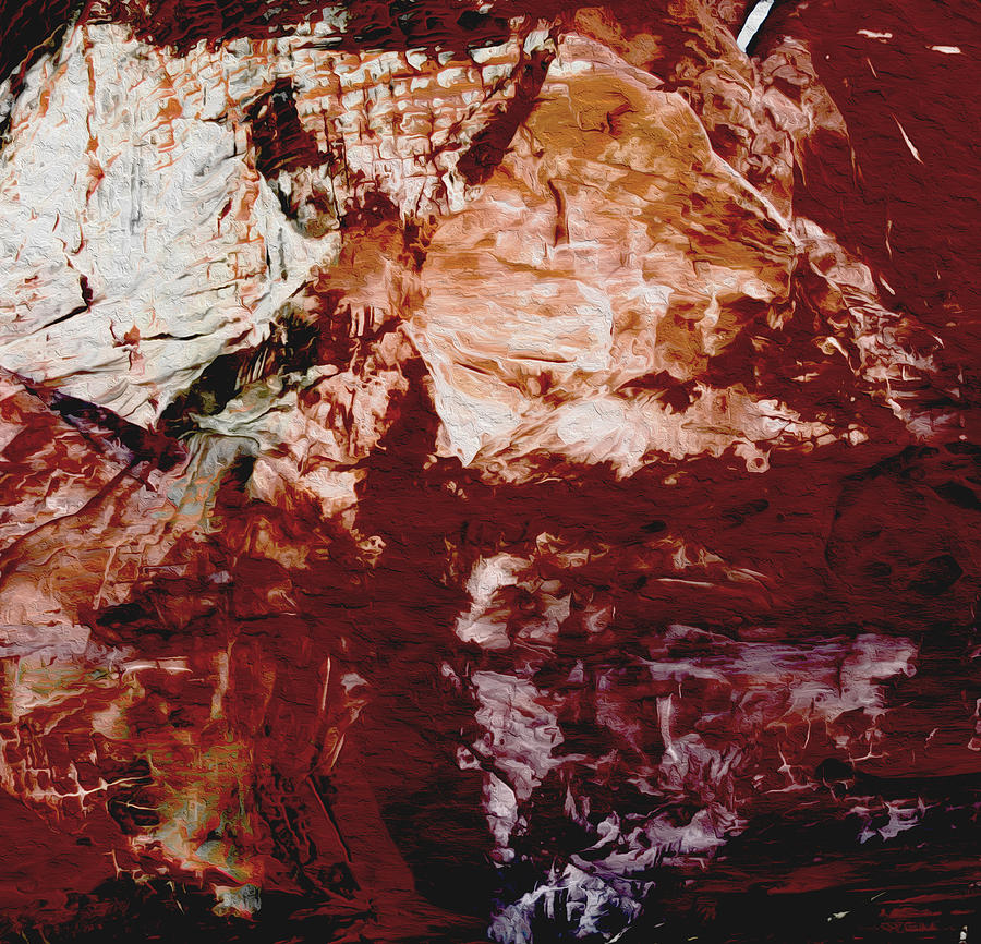 Abstract Photograph - Painted Rock by Stephanie Grant