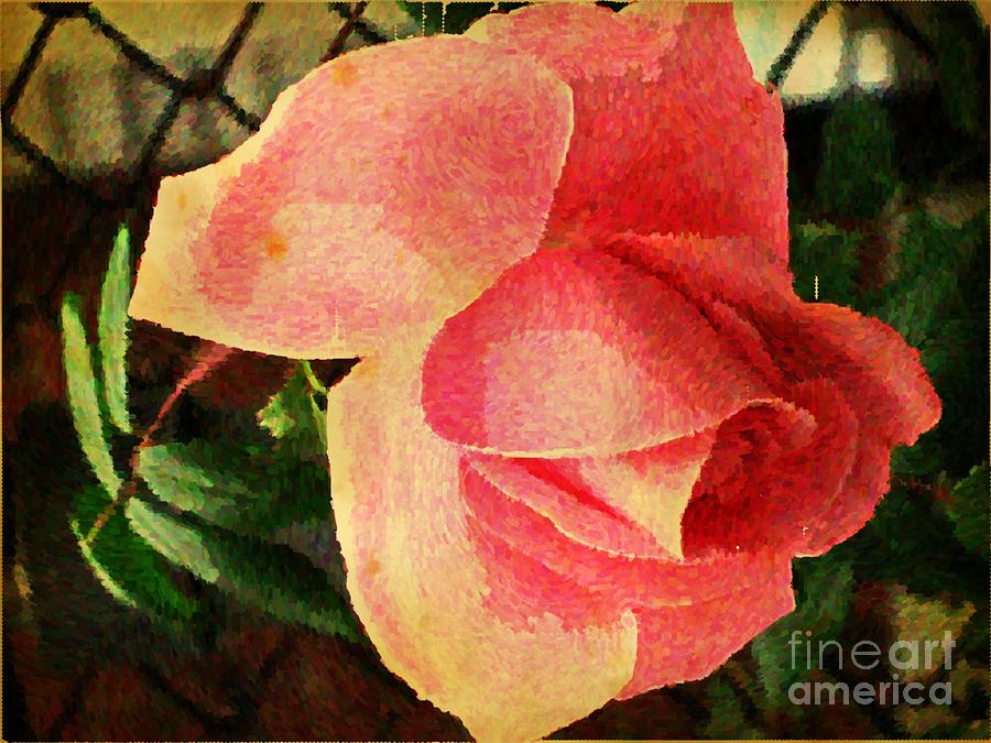 Painted Rose Photograph by Judy Palkimas
