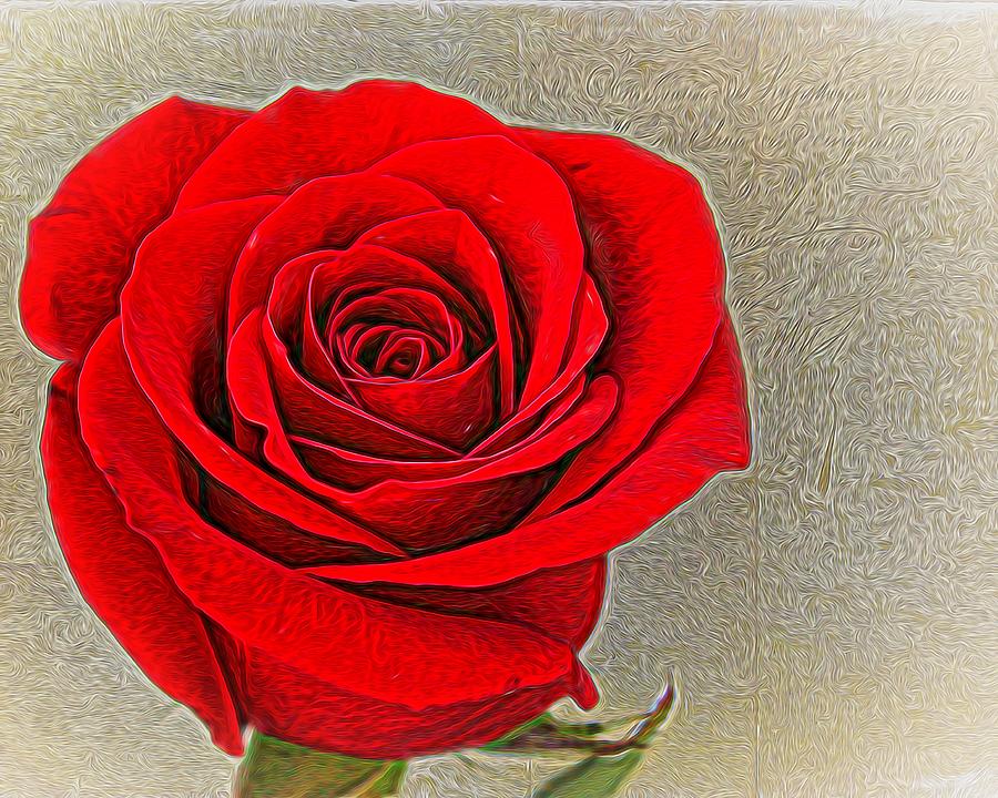 Rose Photograph - Painted Rose by Judy Vincent
