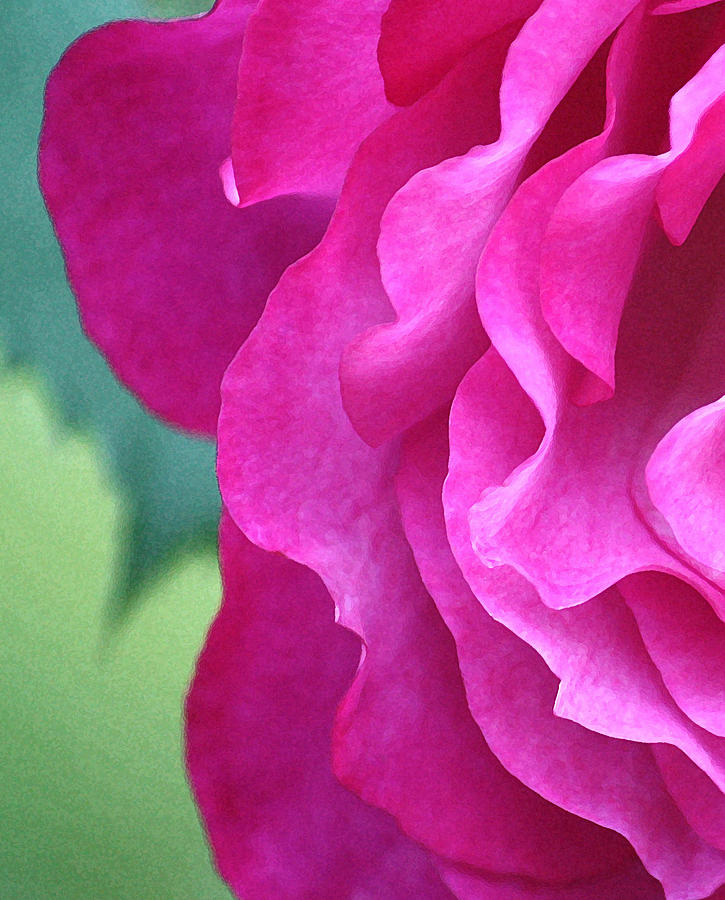 Painted Rose Photograph by The Art Of Marilyn Ridoutt-Greene