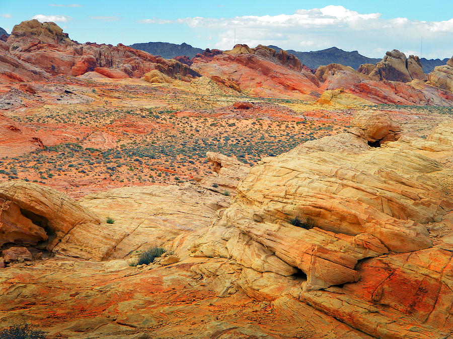 Painted Sandstone Desert Photograph by Frank Wilson