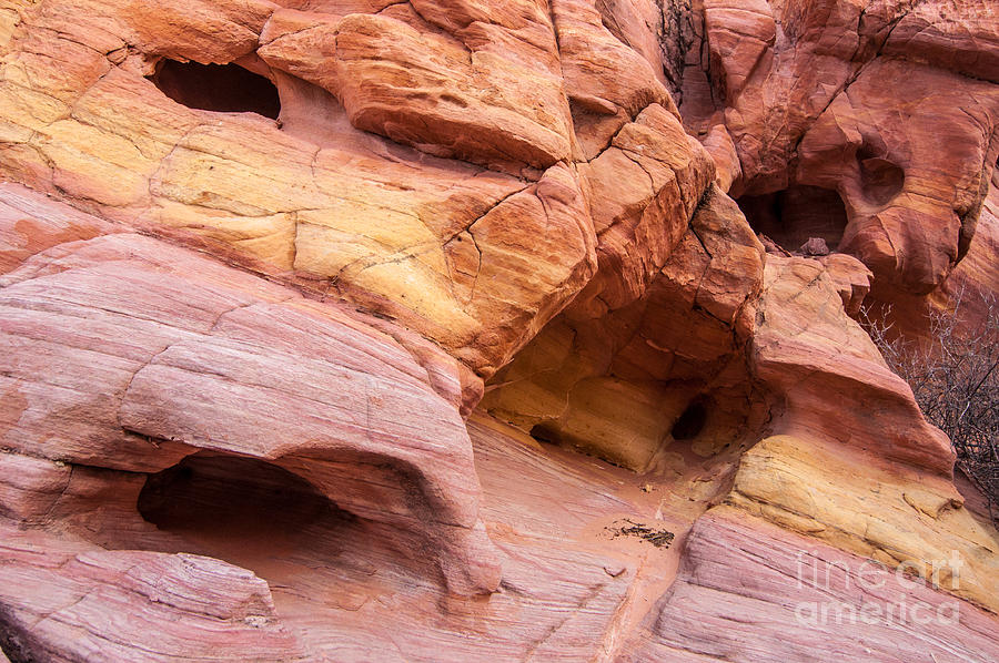 Painted Sandstone Erosion - Valley Of Fire - Nevada Photograph