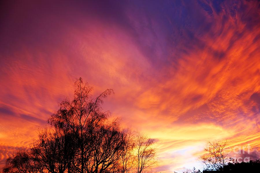 Sunset Photograph - Painted Sky by David Birchall