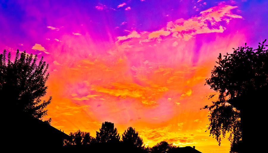 Painted Sky Photograph by Jonny D