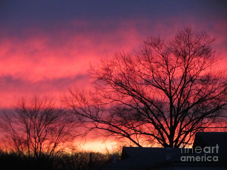 Painted Sky - Sunset Photograph by Susan Carella