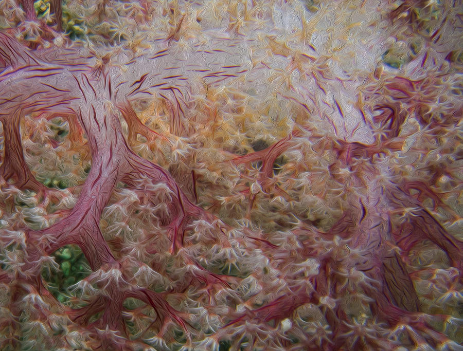 Painted Soft Coral Photograph by Terry Cosgrave
