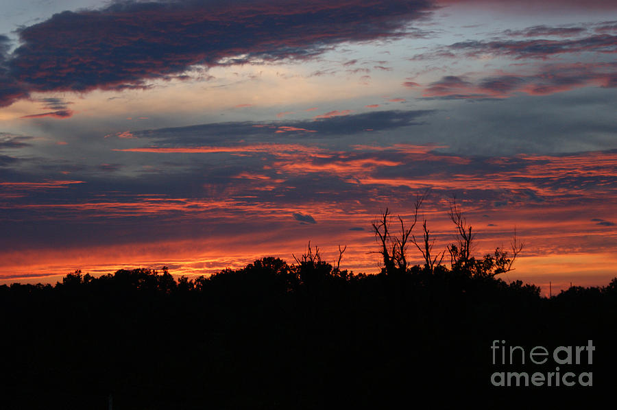 Painted Sunset Photograph by Roger Potts