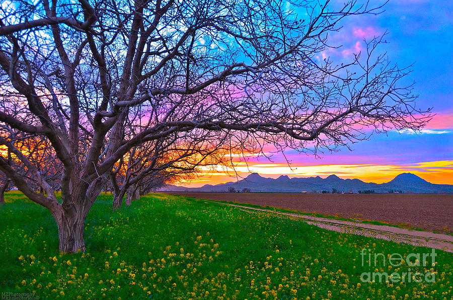 Sutter Buttes Photograph - Painted Sutter Buttes Skies by Michelle Zearfoss