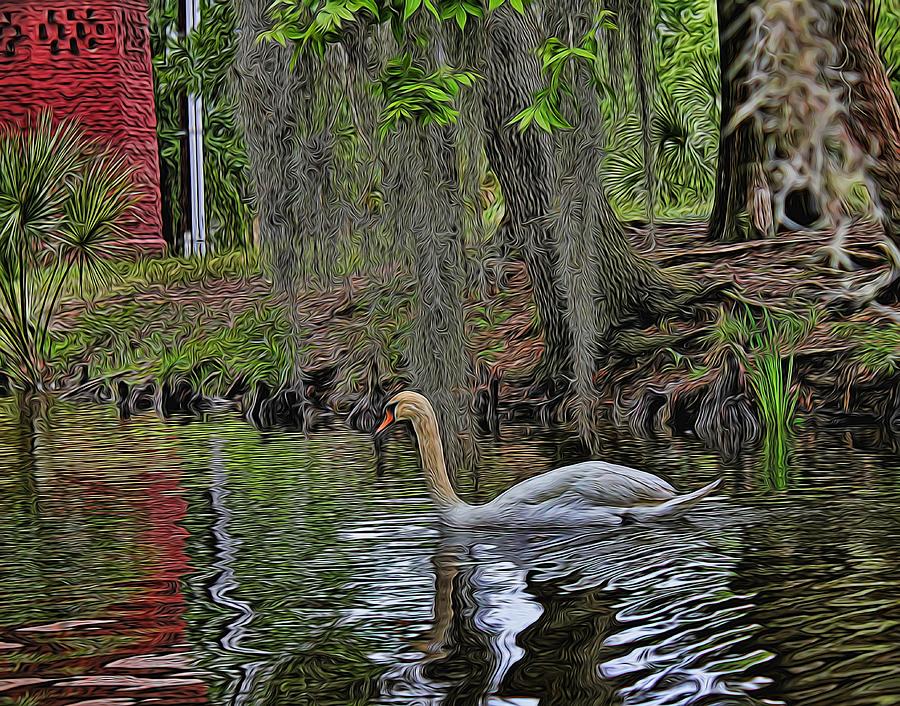 Painted Swan Photograph by Judy Vincent