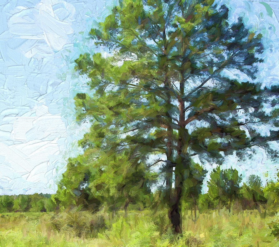 Painted Texas Pine Tree Photograph By Linda Phelps