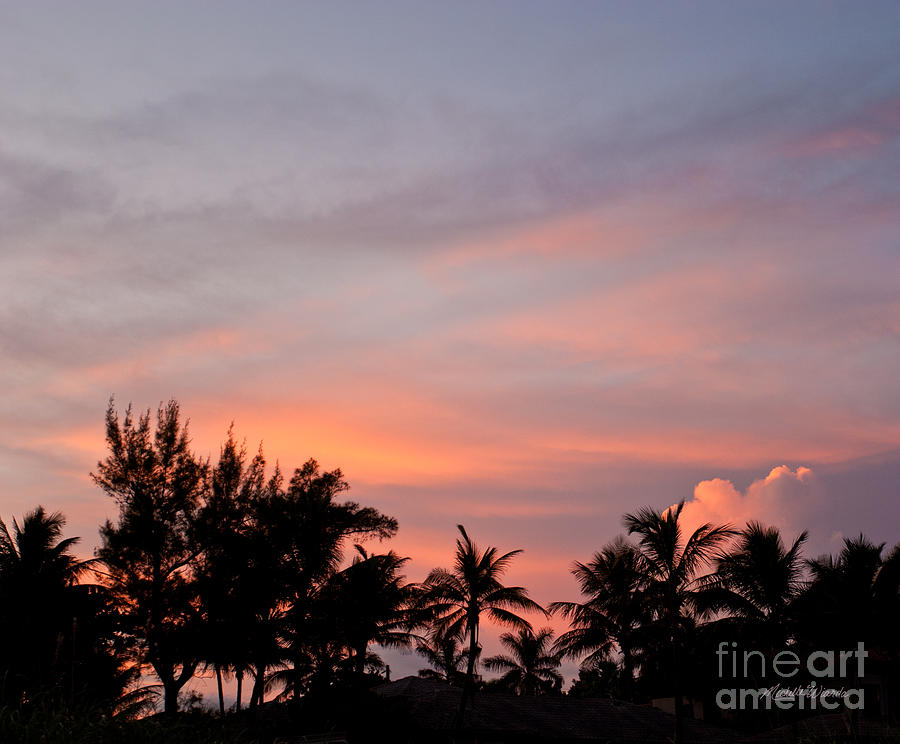 Painted Tropical Sky Photograph by Michelle Constantine