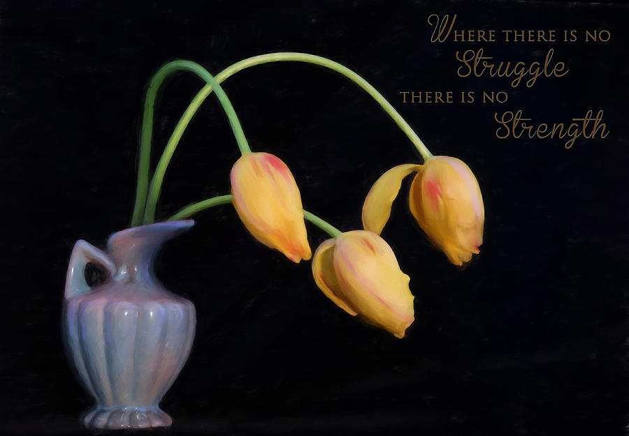 Painted Tulips with Message Photograph by Mary Buck