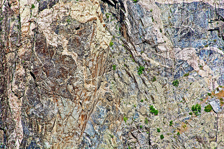 Painted Wall Abstract 2-Dragons at Attention-in Black Canyon of the Gunnison National Park, Colorado Photograph by Ruth Hager