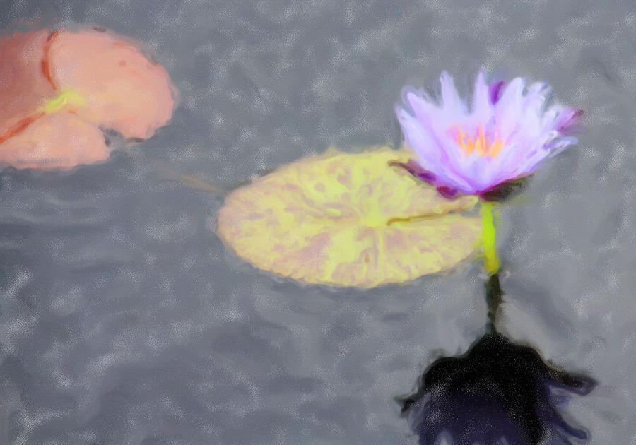 Painted Water Lily Painting by Rosalie Scanlon