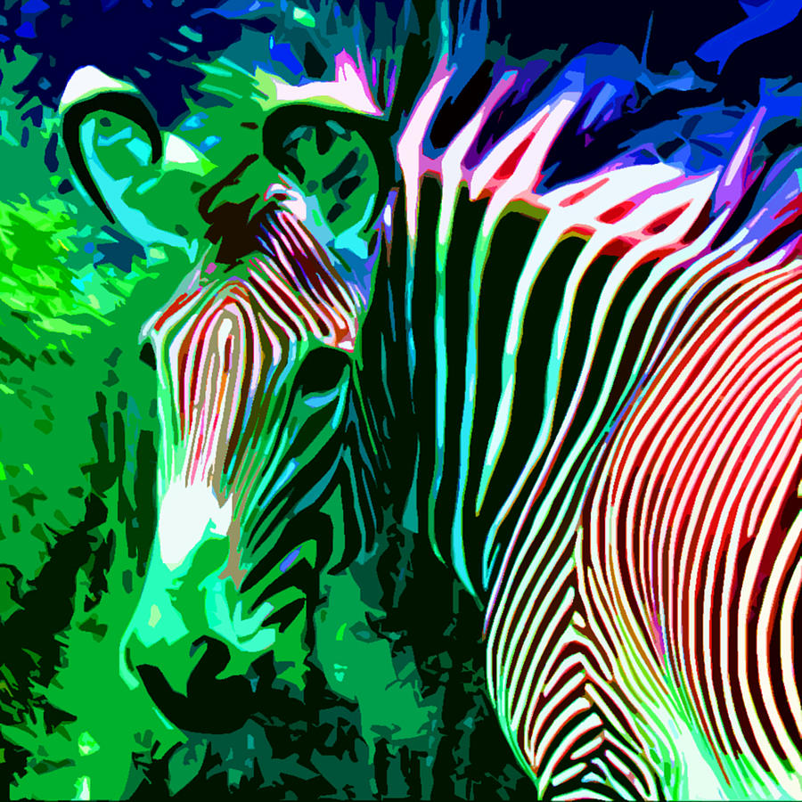Painted Zebra Photograph by John Lautermilch