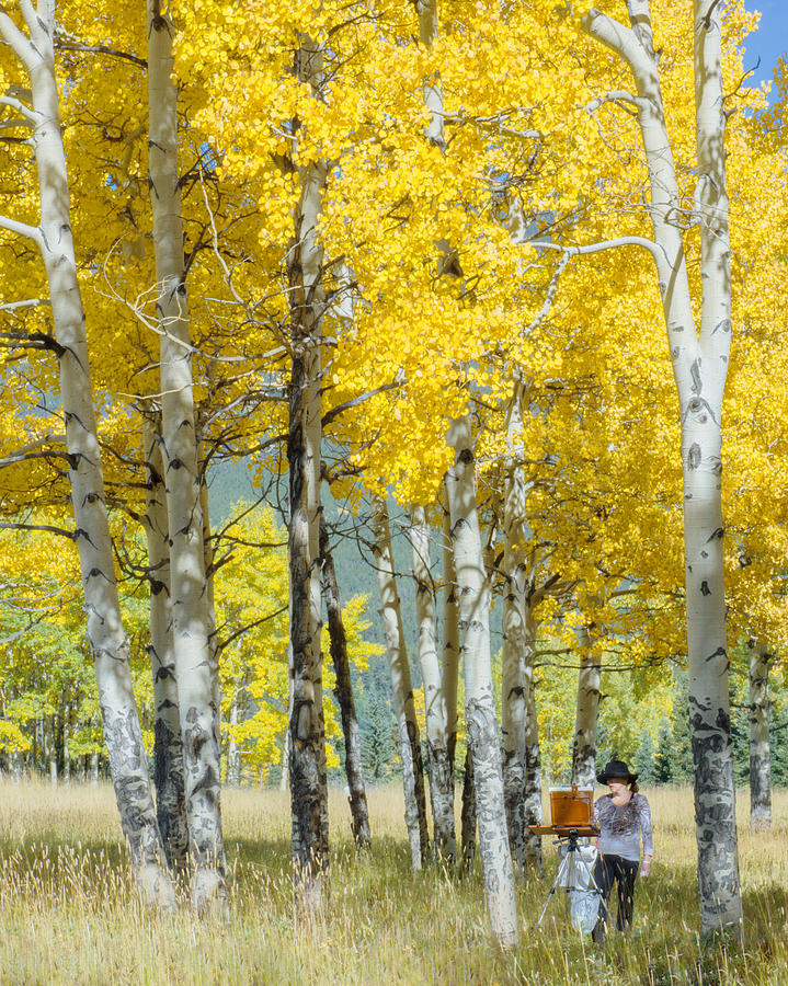 Painter Under the Aspen Trees Photograph by Amy Kesic - Fine Art America