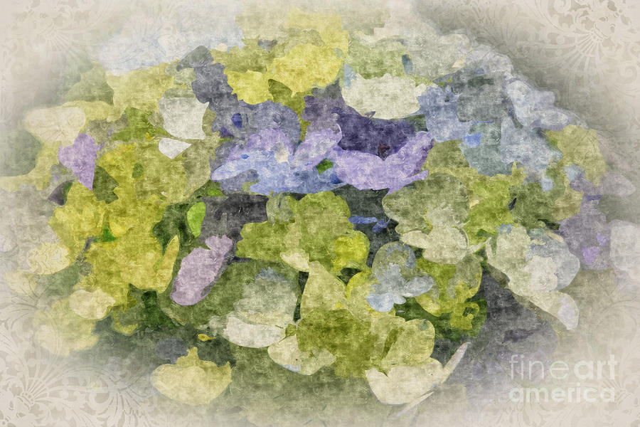 Painterly Hydrangea with Vintage Brocade Vignette Digital Art by Beverly Claire Kaiya